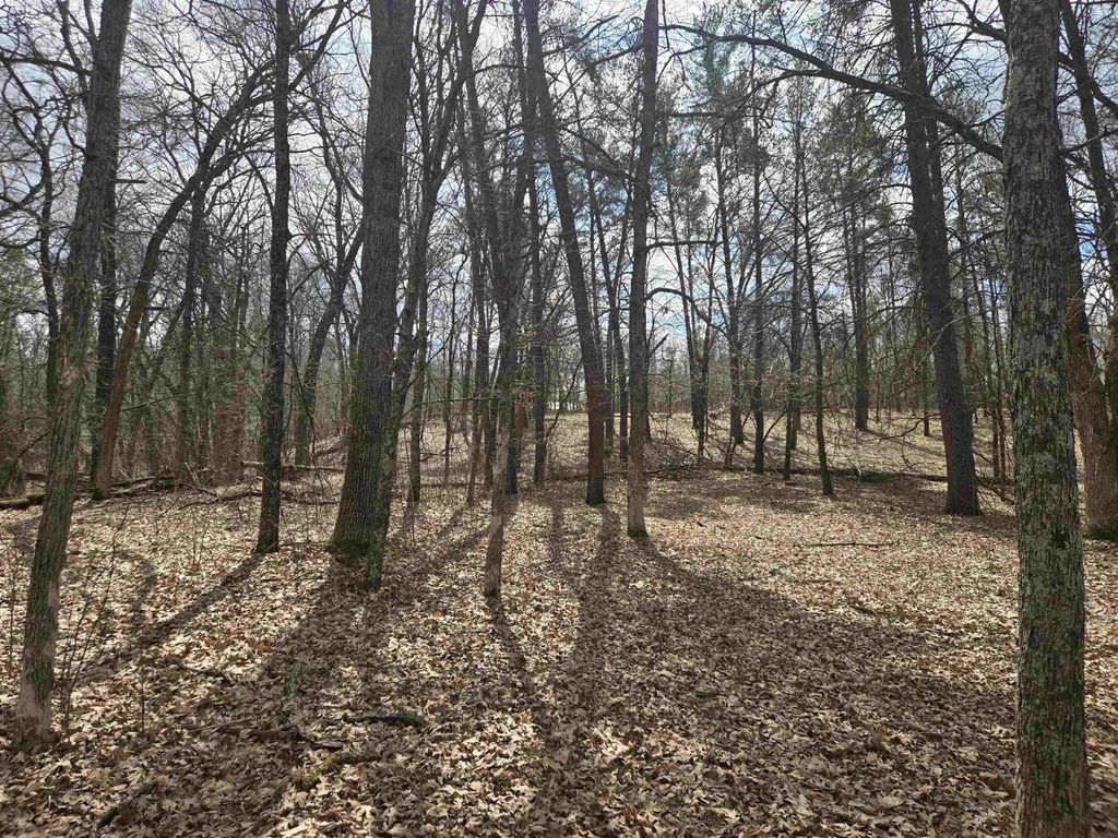 Photo of 322 Big Sky TRAIL, Nekoosa, WI 54457 (MLS # 2014681)