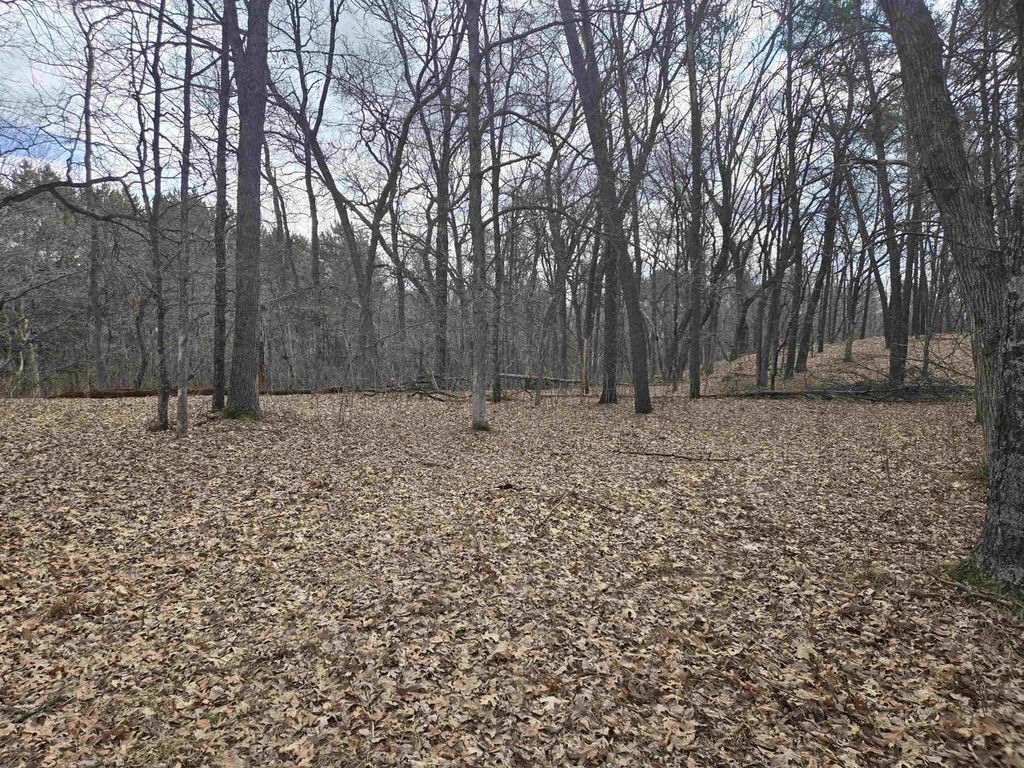 Photo of 322 Big Sky TRAIL, Nekoosa, WI 54457 (MLS # 2014681)