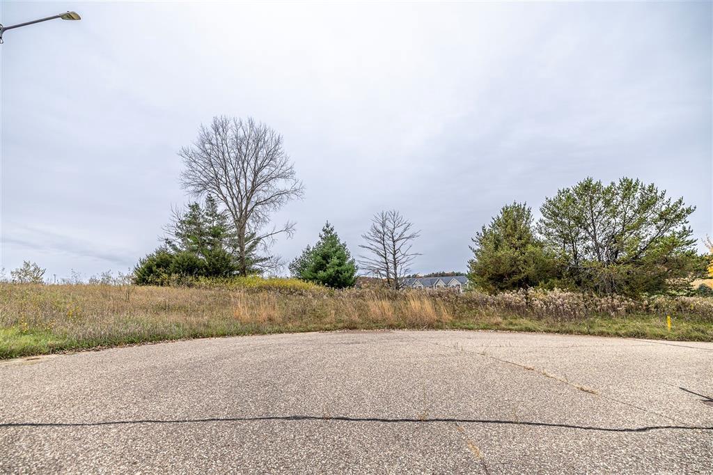 Photo of 00 Cottonwood CIRCLE, Black River Falls, WI 54615 (MLS # 1606280)