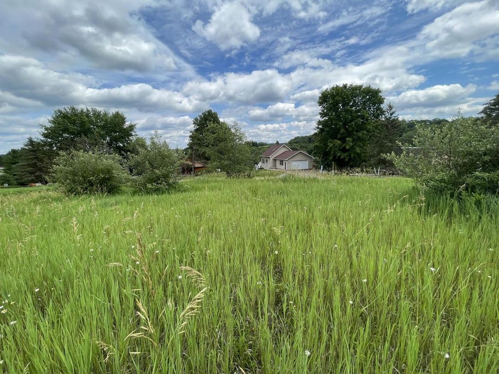 Photo of L232 Black Forest DRIVE, La Valle, WI 53941 (MLS # 2023209)