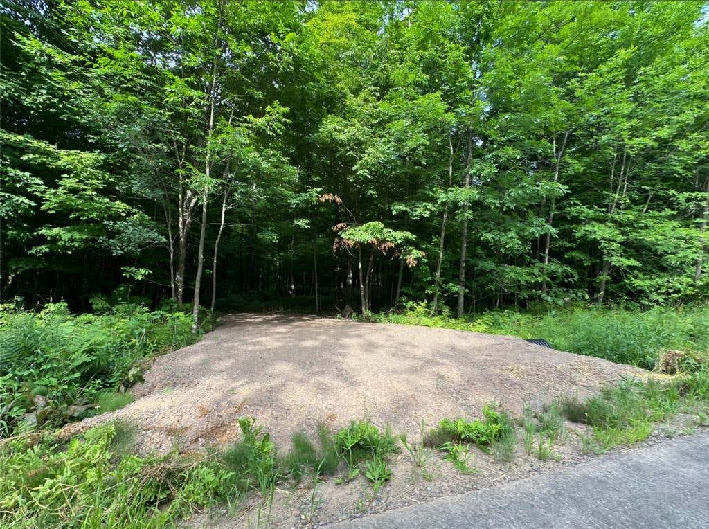 Photo of Lot 6 Deer Lake Rd, Exeland, WI 54835 (MLS # 1604540)