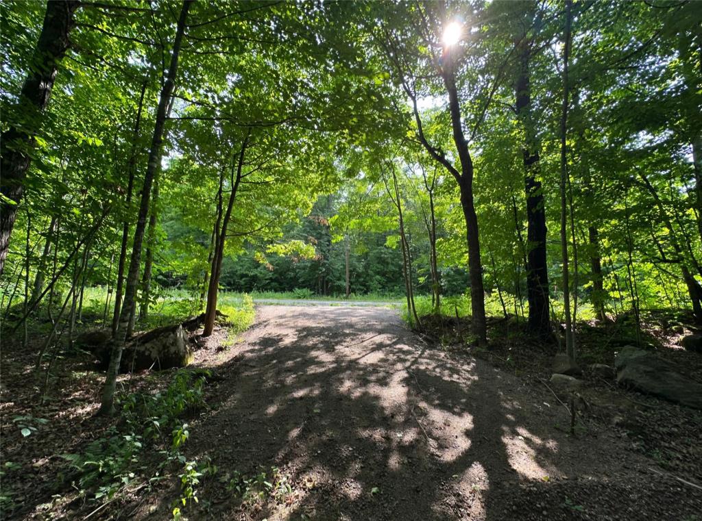 Photo of Lot 6 Deer Lake Rd, Exeland, WI 54835 (MLS # 1604540)
