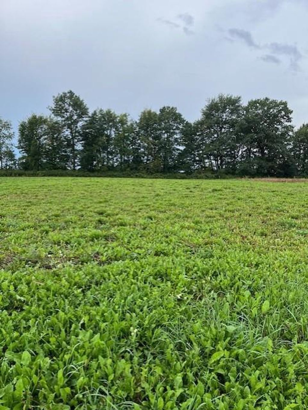 Photo of Lot 25 W Hill STREET, Thorp, WI 54771 (MLS # 1598031)