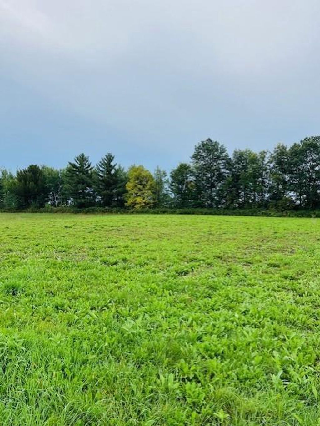 Photo of Lot 25 W Hill STREET, Thorp, WI 54771 (MLS # 1598031)