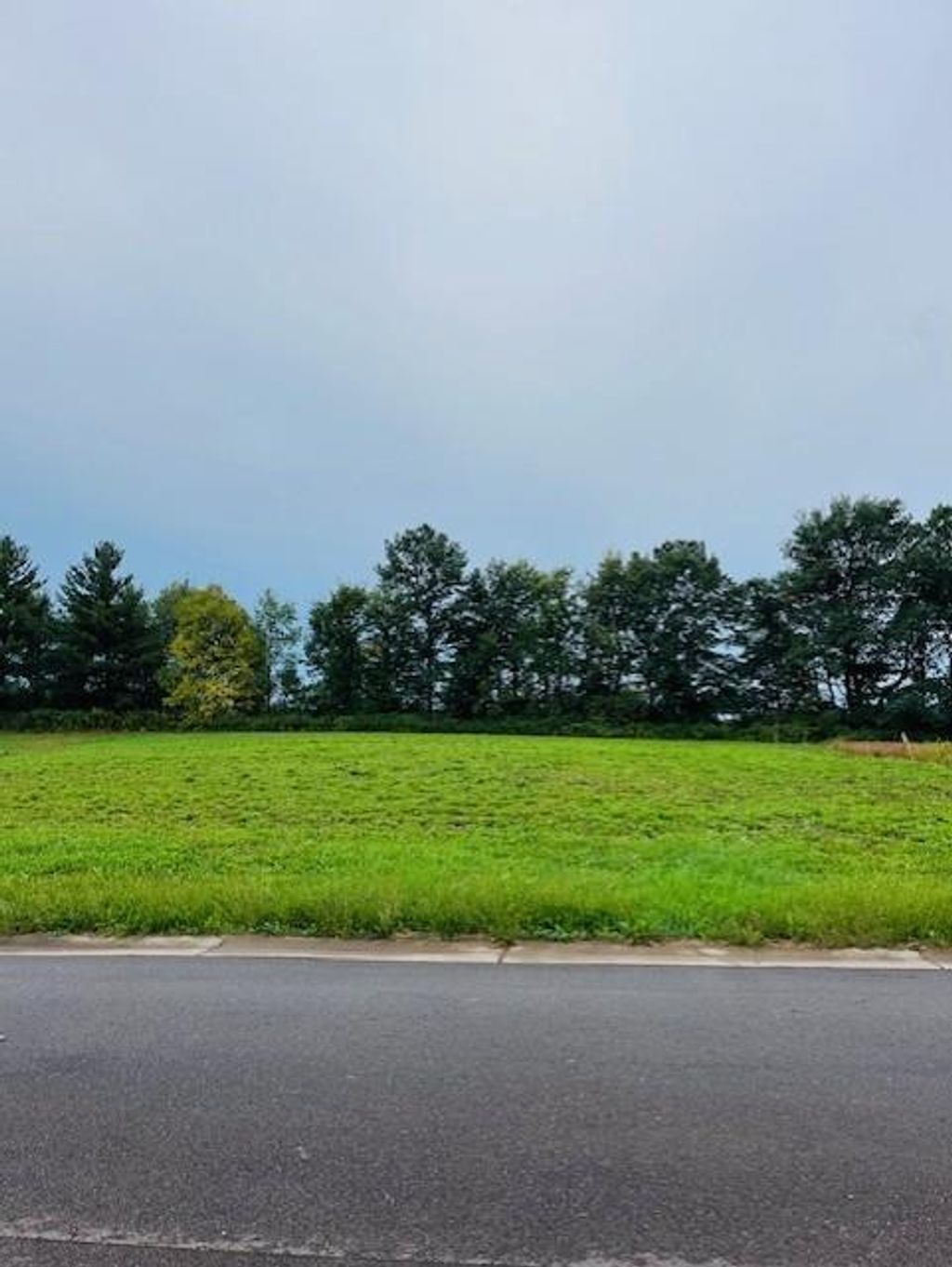 Photo of Lot 25 W Hill STREET, Thorp, WI 54771 (MLS # 1598031)