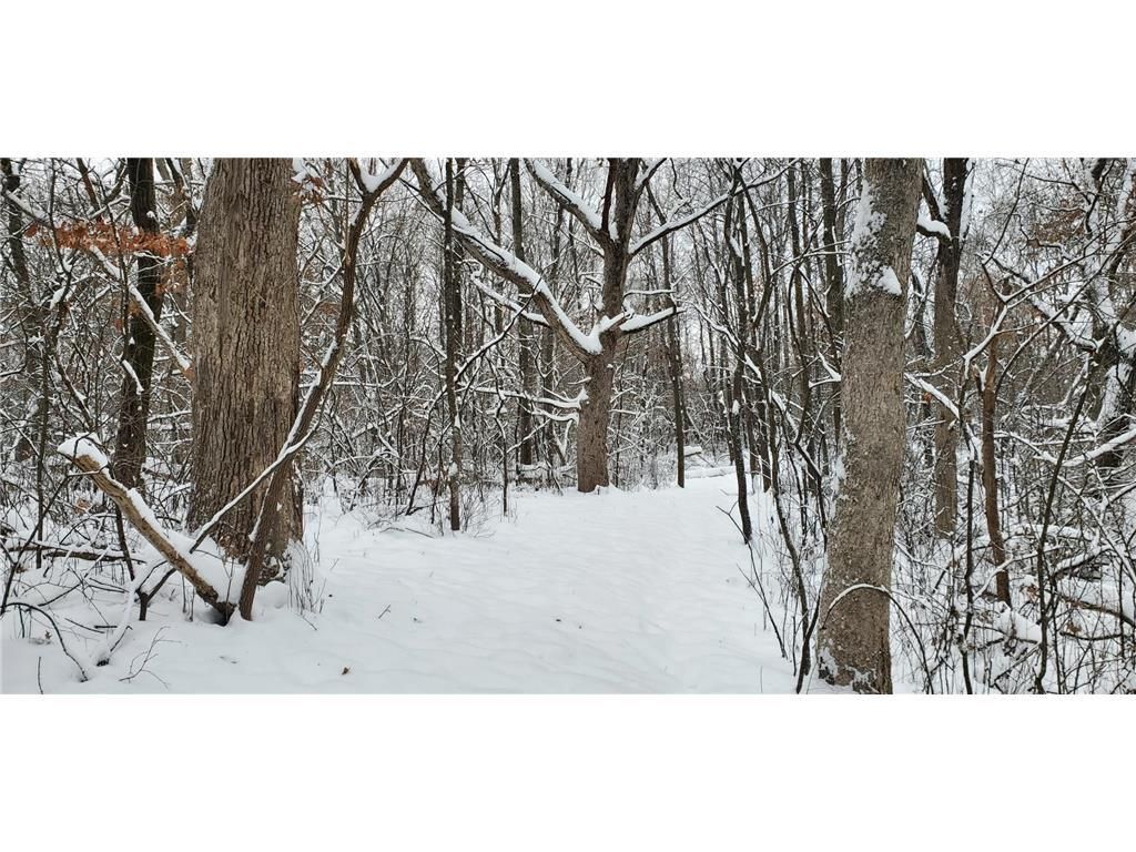 Photo of TBD 50th STREET, Somerset, WI 54025 (MLS # 7014119)