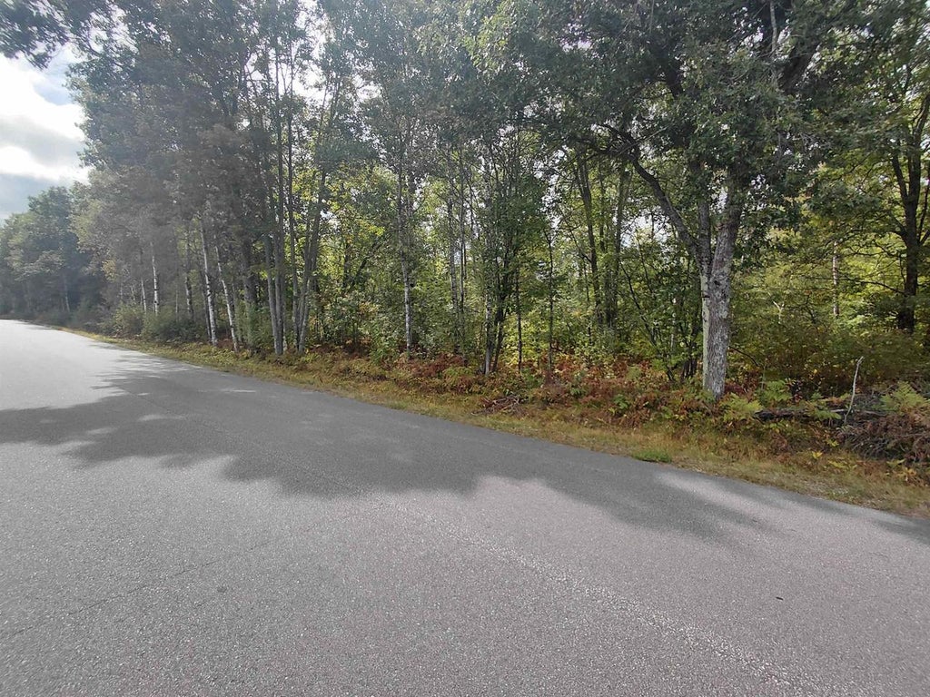 Photo of On US Highway 8 #Spring Creek Rd, Rhinelander, WI 54501 (MLS # 22604607)