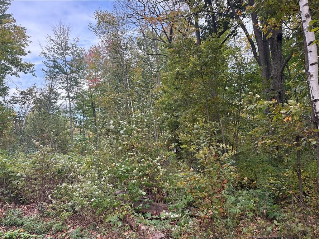 Photo of 0 10 1/2, Barron, WI 54812 (MLS # 1596170)