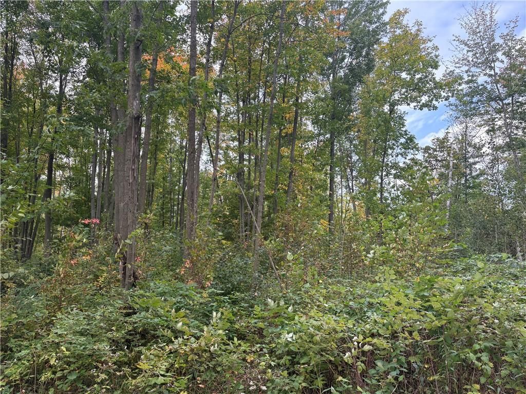 Photo of 0 10 1/2, Barron, WI 54812 (MLS # 1596170)