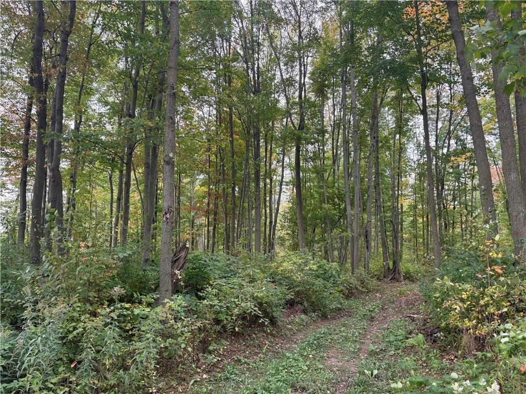 Photo of 0 10 1/2, Barron, WI 54812 (MLS # 1596170)