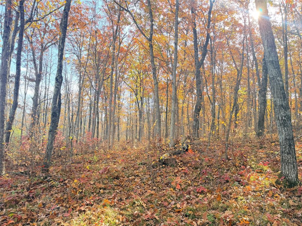 Photo of 0 Hwy C, Rice Lake, WI 54868 (MLS # 1605929)