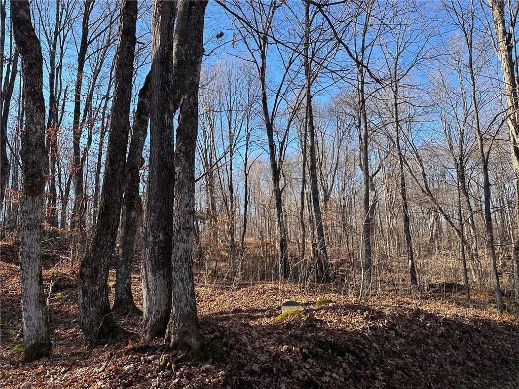 Photo of Lots 54 &amp; 55 Wolf Island ROAD, Hayward, WI 54843 (MLS # 1599634)