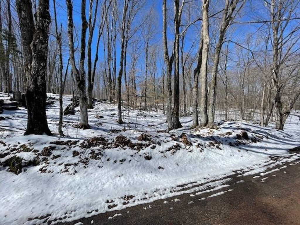 Photo of Lots 54 &amp; 55 Wolf Island ROAD, Hayward, WI 54843 (MLS # 1599634)