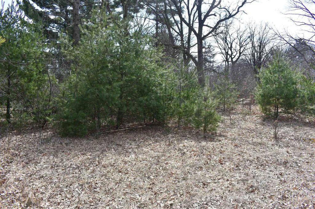 Photo of 9464 Hollywood ROAD, Nekoosa, WI 54457 (MLS # 2014602)