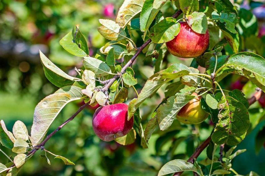 Photo of 253 County Hwy Ce, Kaukauna, WI 54130 (MLS # 50319995)