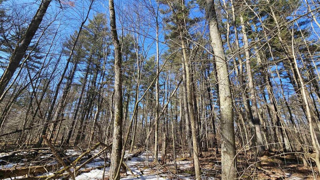 Photo of W2319 Medicine Hat TRAIL, Keshena, WI 54135 (MLS # 50321838)