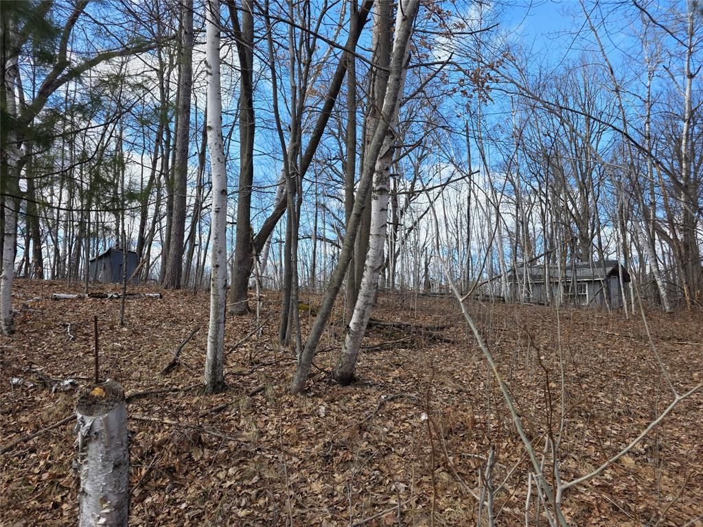 Photo of 00 Highway W, Weyerhaeuser, WI 54895 (MLS # 1599952)