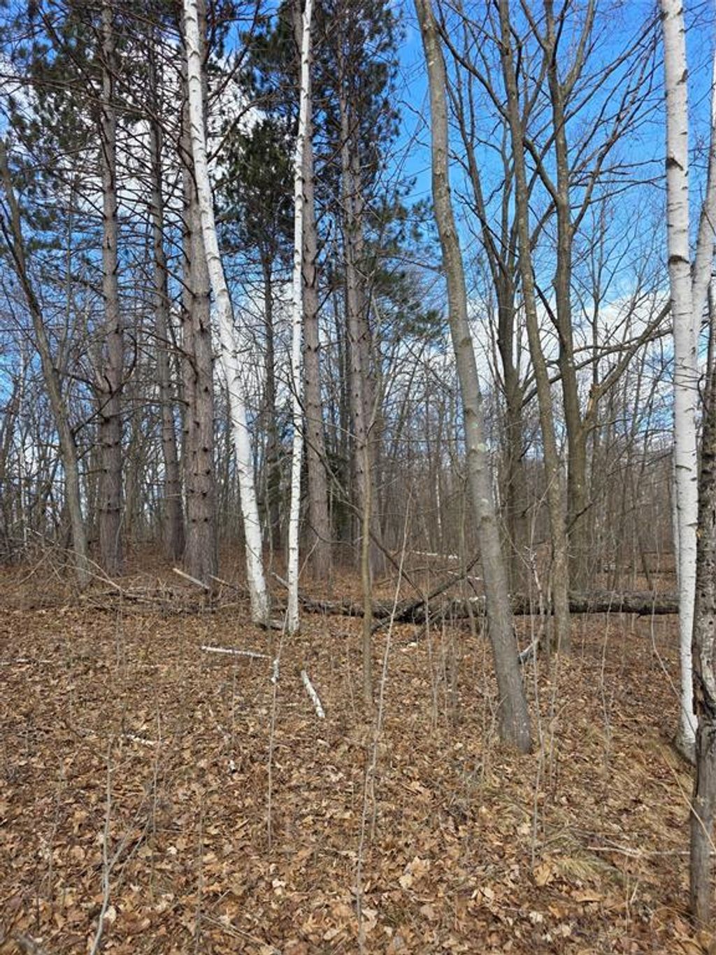 Photo of 00 Highway W, Weyerhaeuser, WI 54895 (MLS # 1599952)