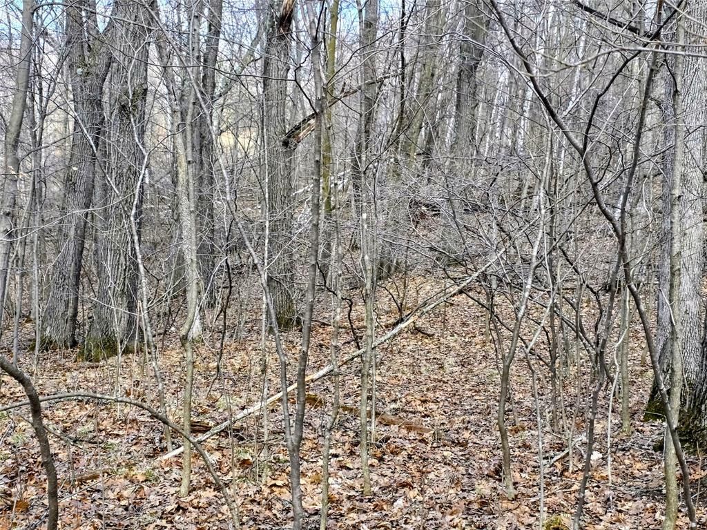 Photo of 00 Highway W, Weyerhaeuser, WI 54895 (MLS # 1599952)