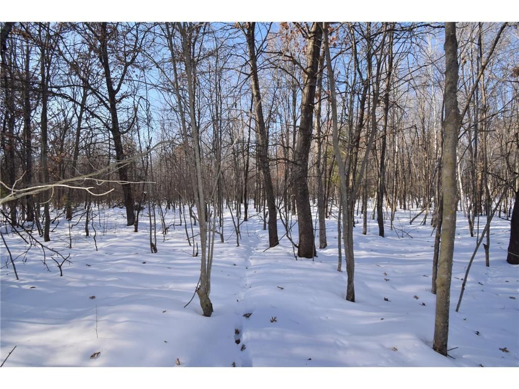 Photo of Lots 1-4 Clam Lake DRIVE, Siren, WI 54872 (MLS # 7015770)