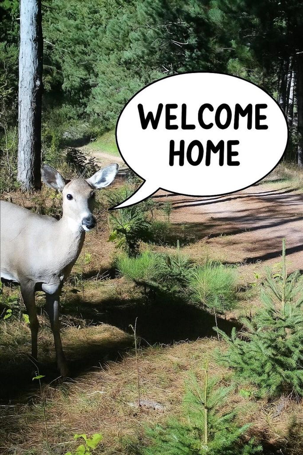 Photo of 2536 4th DRIVE, Grand Marsh, WI 53936 (MLS # 1941415)