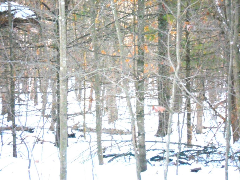 Photo of 1.34 AC Czech DRIVE, Friendship, WI 53934 (MLS # 2015407)