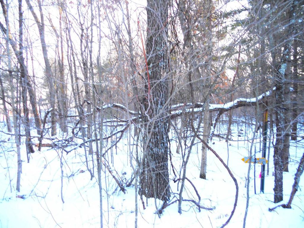 Photo of 1.34 AC Czech DRIVE, Friendship, WI 53934 (MLS # 2015407)