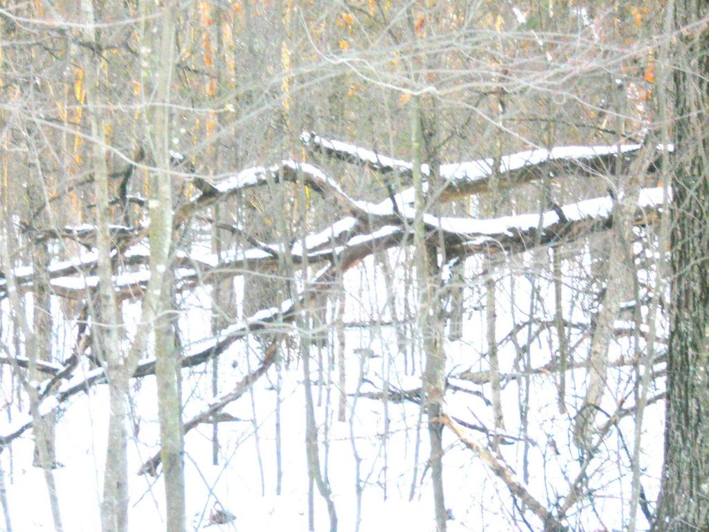 Photo of 1.34 AC Czech DRIVE, Friendship, WI 53934 (MLS # 2015407)