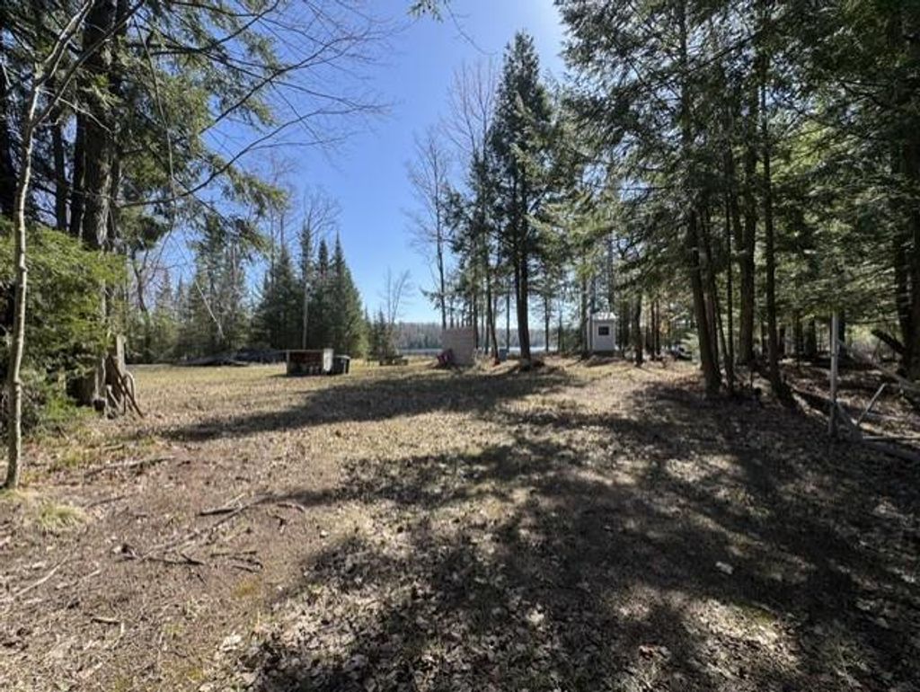 Photo of 17478 Waxwing LANE, Townsend, WI 54175 (MLS # 50324034)