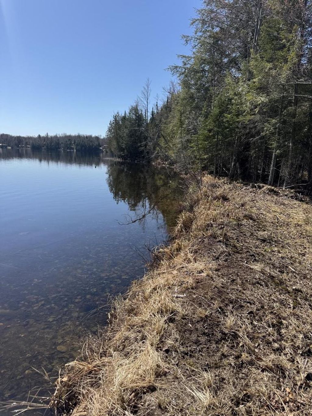 Photo of 17478 Waxwing LANE, Townsend, WI 54175 (MLS # 50324034)