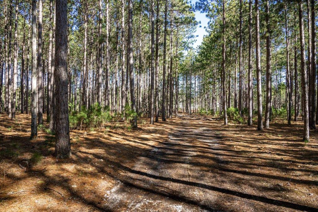 Photo of W6718 18th STREET, Necedah, WI 54646 (MLS # 2020226)