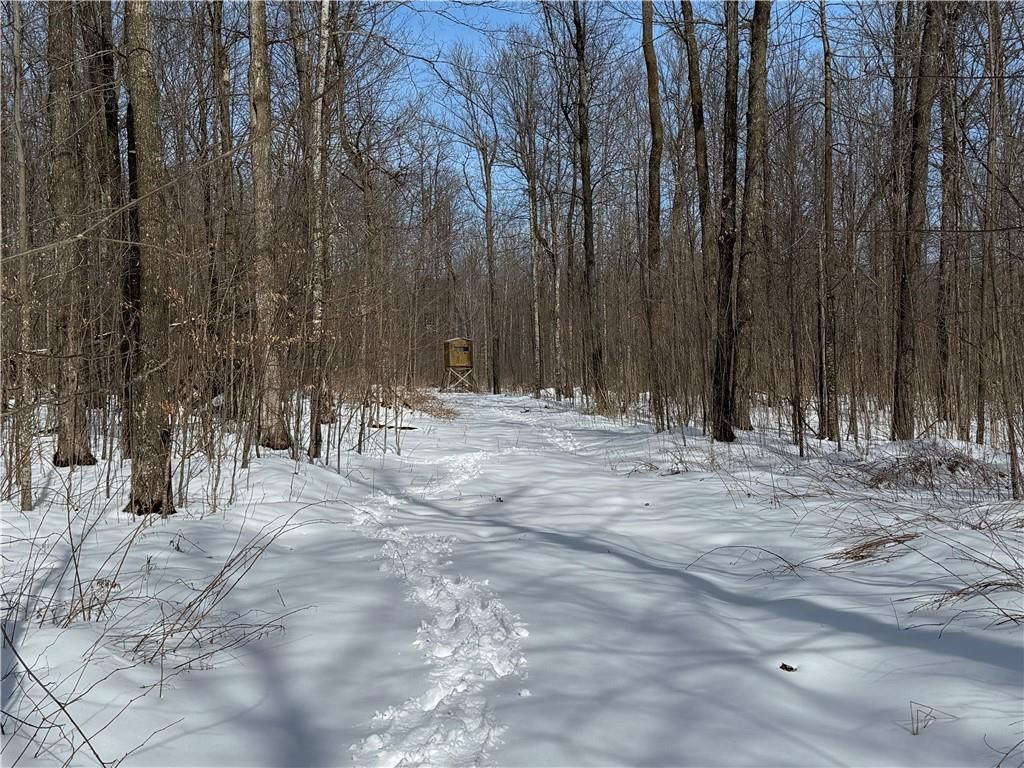 Photo of OOO County Rd. F, Spencer, WI 54479 (MLS # 1598625)