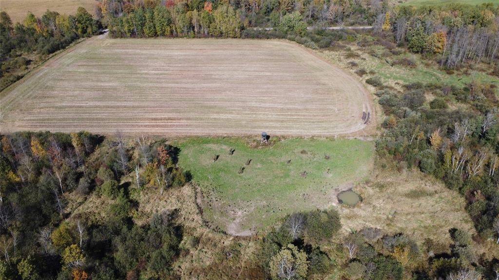 Photo of OOO Richfield Wood ROAD, Arpin, WI 54410 (MLS # 1605936)