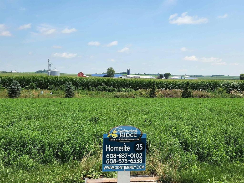 Photo of 839 Capitol DRIVE, Dane, WI 53529 (MLS # 2018478)