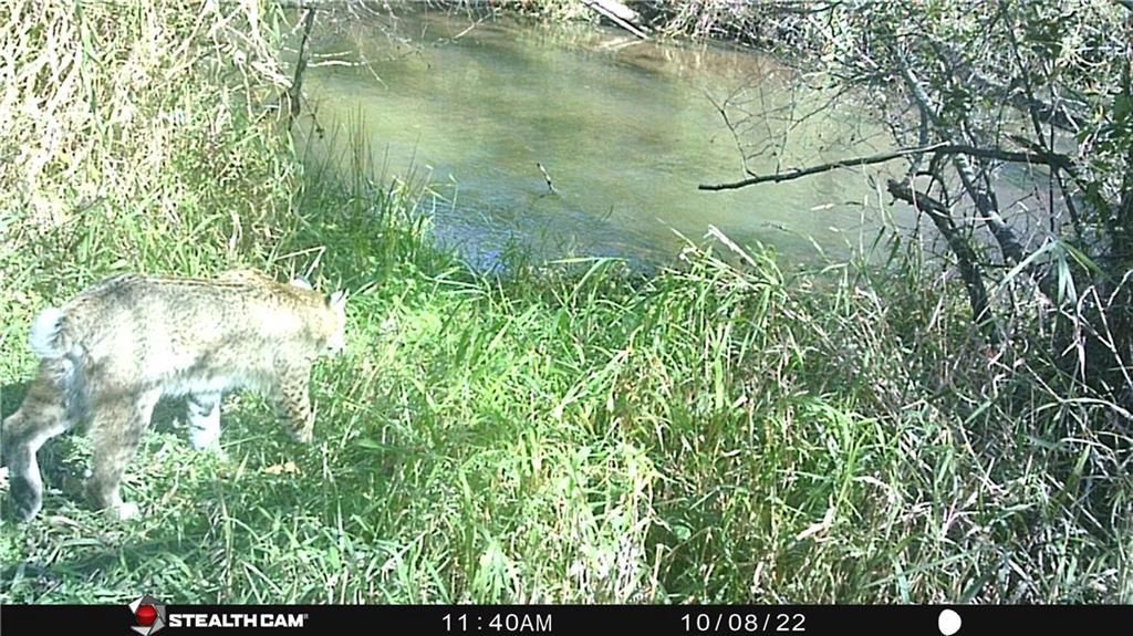 Photo of 0 S Lowes Creek Rd ROAD, Eau Claire, WI 54701 (MLS # 1596478)