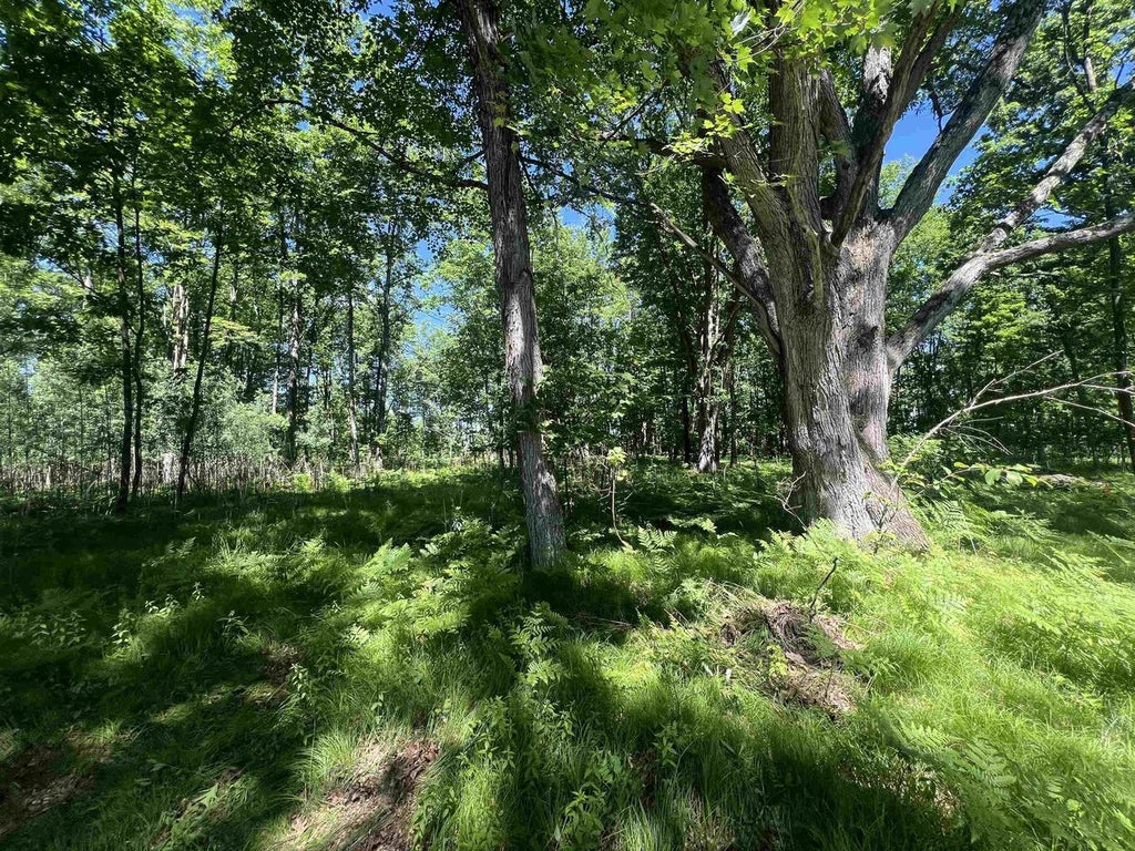 Photo of Rhett LANE, Wausaukee, WI 54177 (MLS # 50327530)