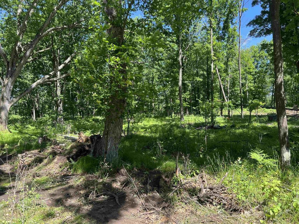 Photo of Rhett LANE, Wausaukee, WI 54177 (MLS # 50327530)