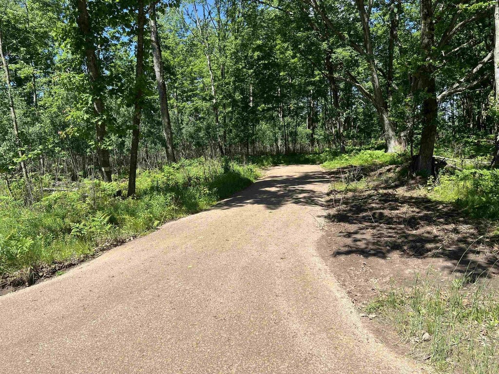 Photo of Rhett LANE, Wausaukee, WI 54177 (MLS # 50327530)