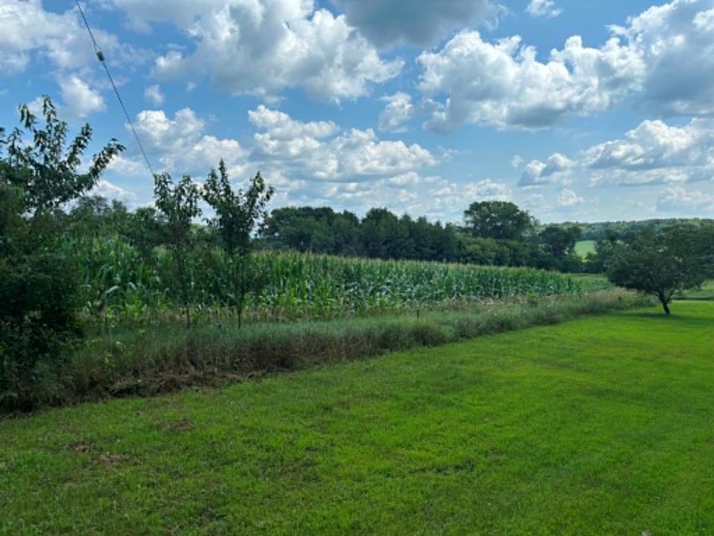 Photo of Vacant Land 420th Ave, Menomonie, WI 54751 (MLS # 1603810)
