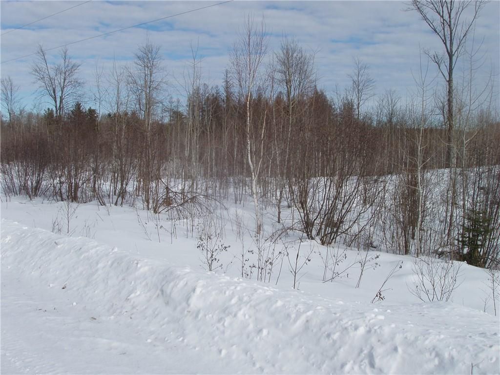 Photo of 40+/- Acres on County Rd E, Park Falls, WI 54552 (MLS # 1598975)