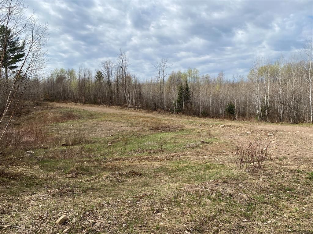 Photo of Near Wilson Lake Road, Phillips, WI 54555 (MLS # 1599327)