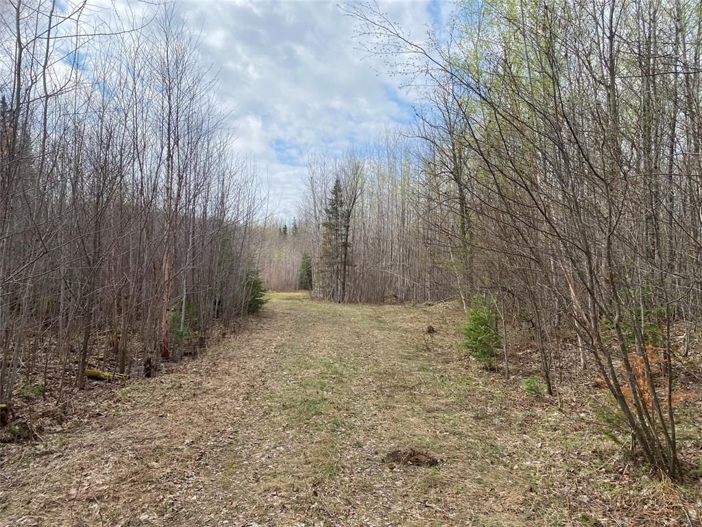 Photo of Near Wilson Lake Road, Phillips, WI 54555 (MLS # 1599327)