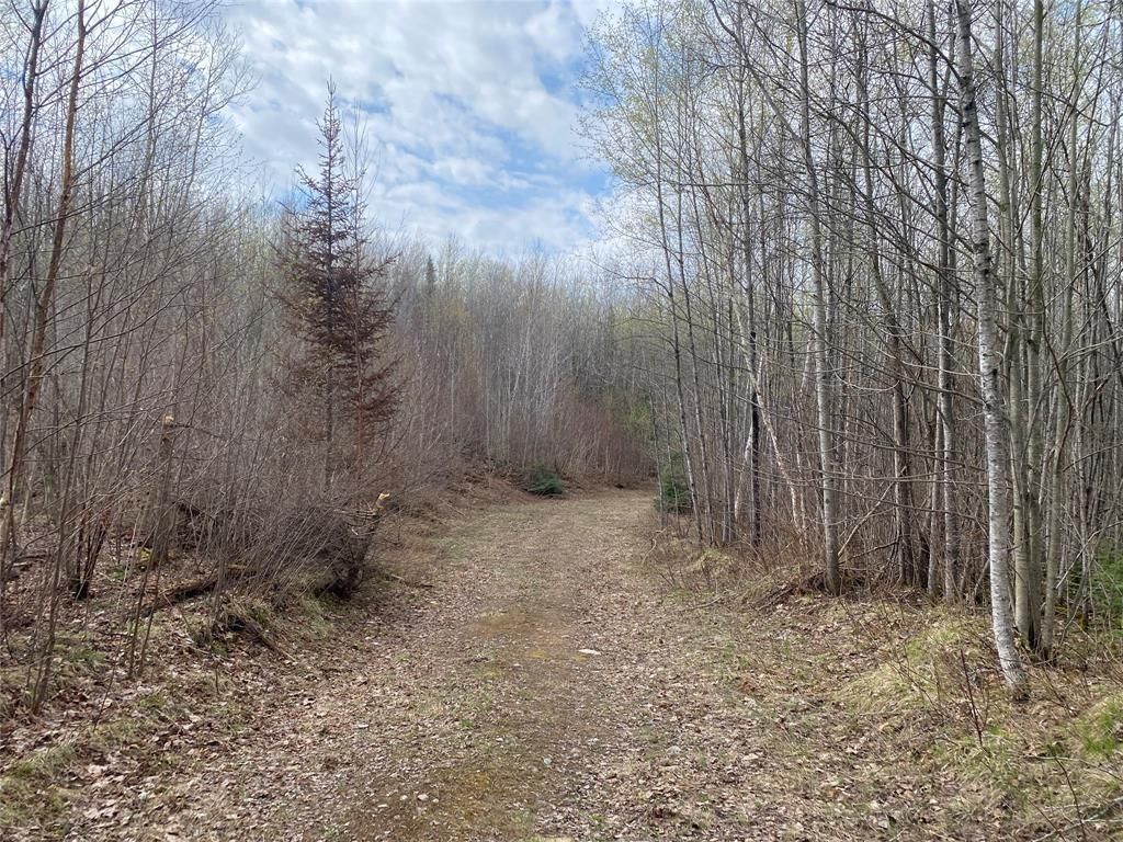 Photo of Near Wilson Lake Road, Phillips, WI 54555 (MLS # 1599327)