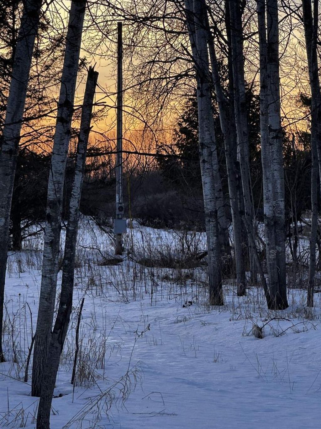 Photo of 4424 N Creek LANE, Lena, WI 54139 (MLS # 50322599)