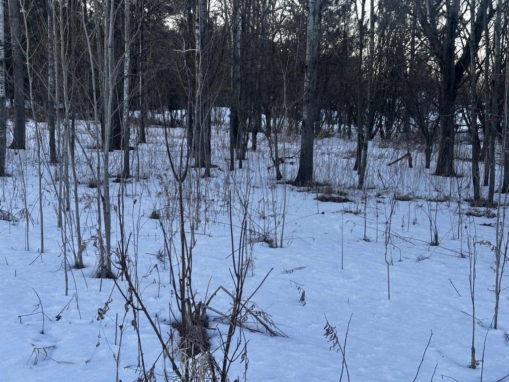 Photo of 4424 N Creek LANE, Lena, WI 54139 (MLS # 50322599)