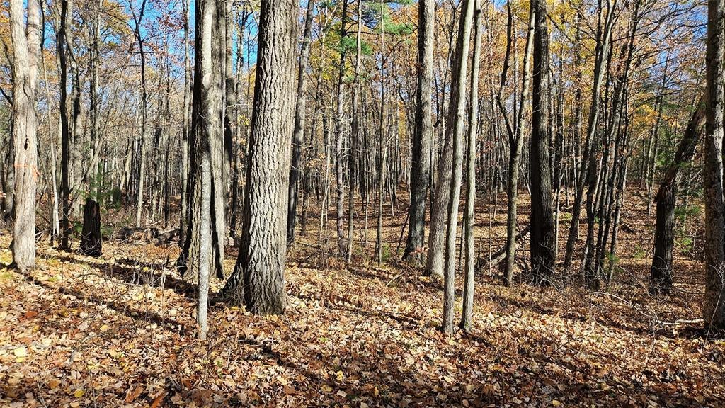 Photo of Lot 1 Goss ROAD, Hayward, WI 54843 (MLS # 1606106)