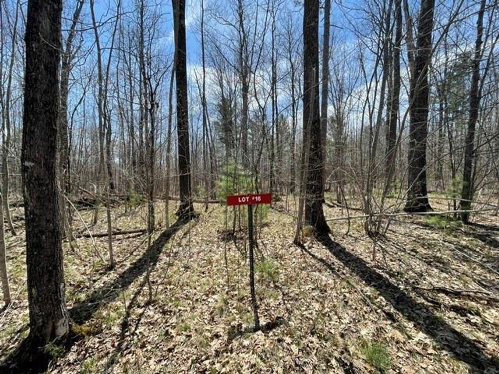 Photo of 0 White Oak TRAIL, Hayward, WI 54843 (MLS # 1600678)