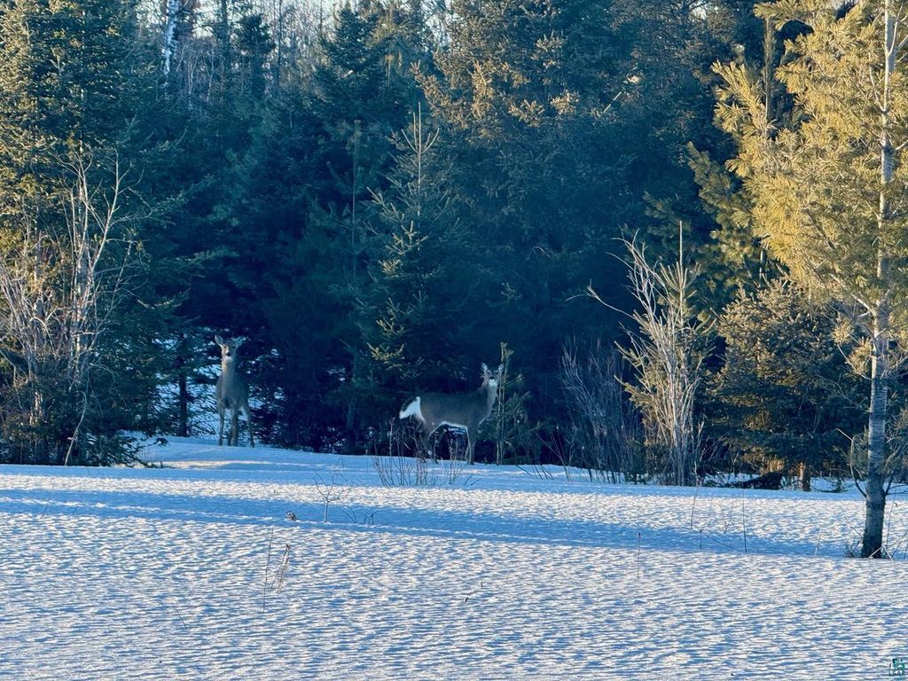 Photo of 209xx Highway 2, Mason, WI 54856 (MLS # 6123821)