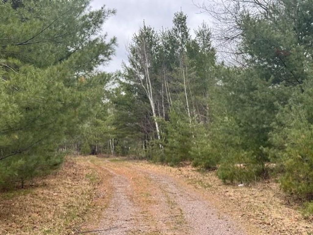 Photo of 11317 Bethel ROAD, Hayward, WI 54843 (MLS # 1600566)