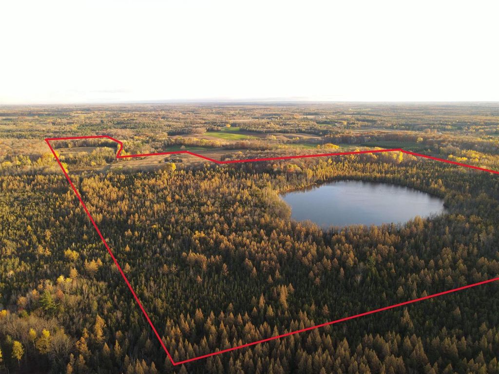 Photo of Killdeer LANE, Birnamwood, WI 54414 (MLS # 50317263)